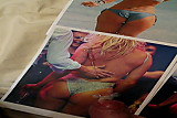 Jacking off on Pamela Anderson amazing ass