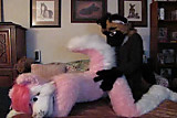 pink husky and freind fursuit yiff