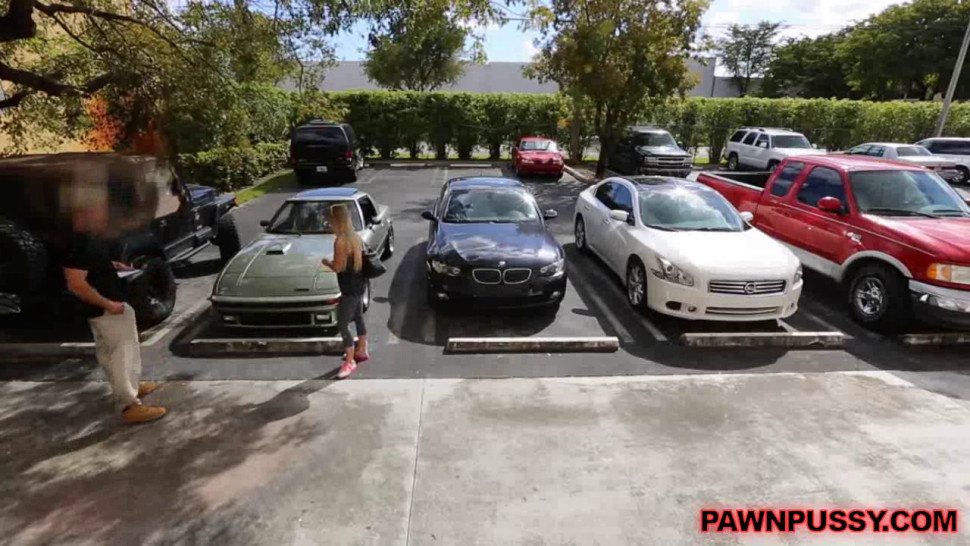 Blonde sucks my cock in the car