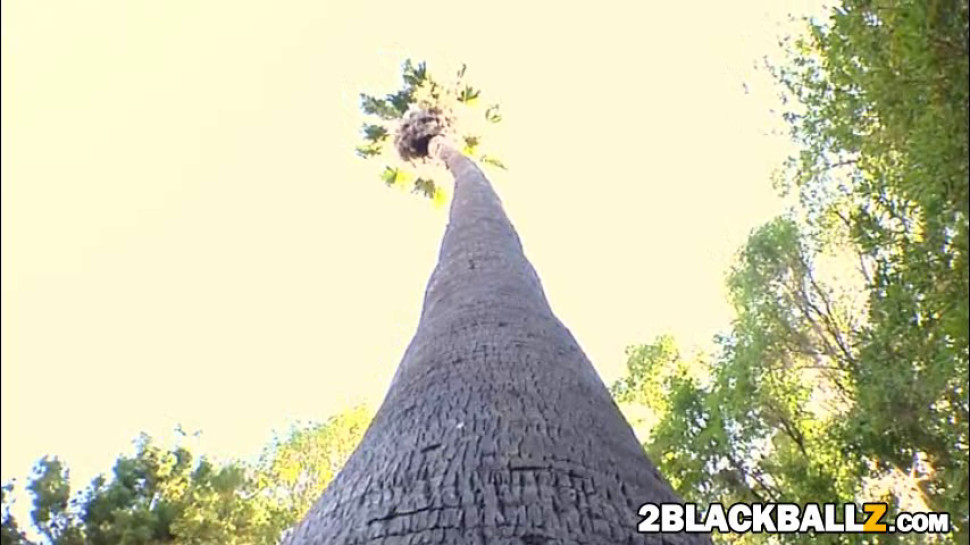 Phat ass bitch Krissy Lynn fucked by bbc